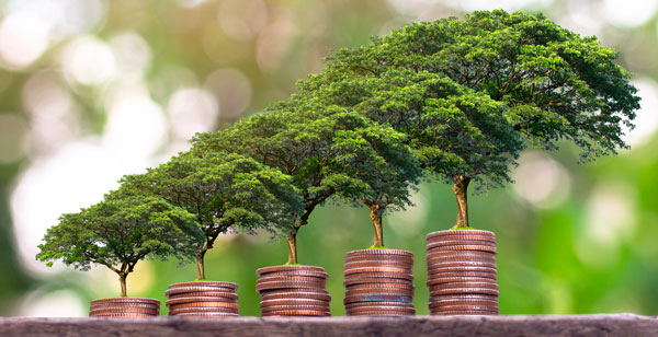 Accede al artículo ¿Qué son los bancos éticos?