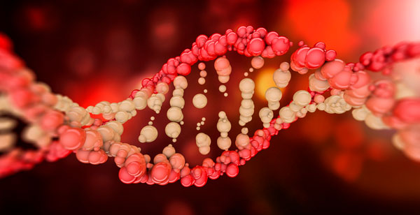 Epigenética: no solo heredas los genes 