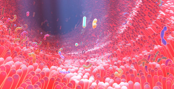 Nuestra amiga la microbiota 