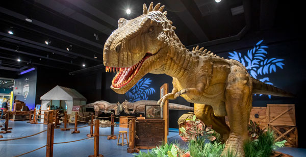 ¿Podríamos clonar un dinosaurio? 
