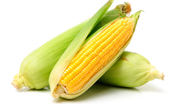 Transposones: los genes que se mueven 