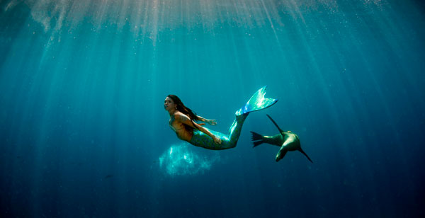 Accede al artículo Las sirenas son miopes y la culpa la tiene la óptica geométrica   