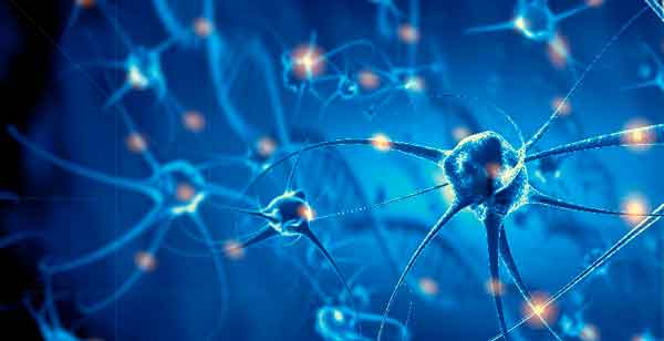 Accede al artículo Pensar en futuro para recordar el pasado