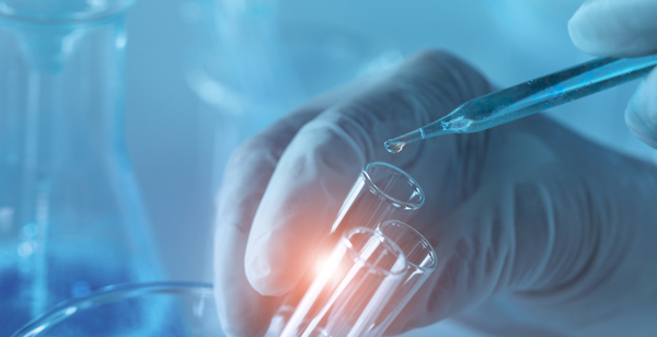 Accede al artículo ¿Por qué fue tan importante la Teoría Endosimbiótica?