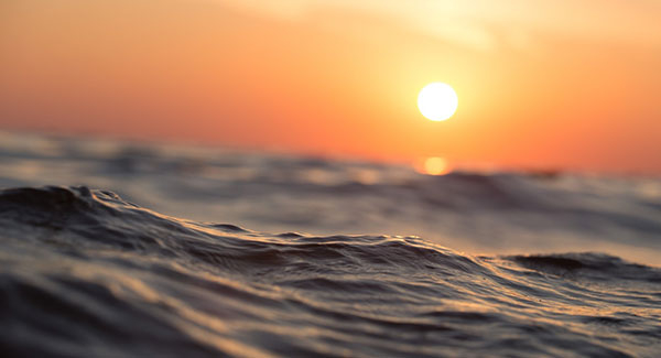 El valor del agua 