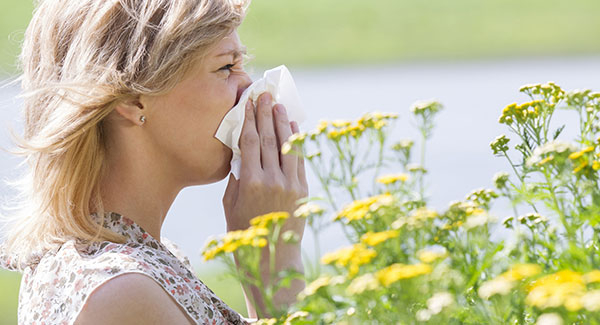 Mi prima… La Primavera y sus hermanas las Alergias 
