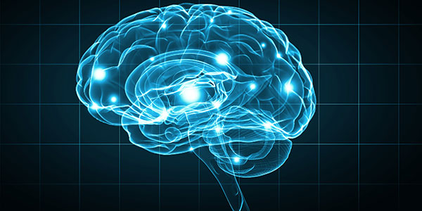 ¿Será el cerebro del futuro tecnológico o humano? 