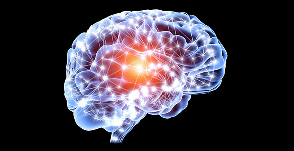 ¿Qué es el neuromarketing? 