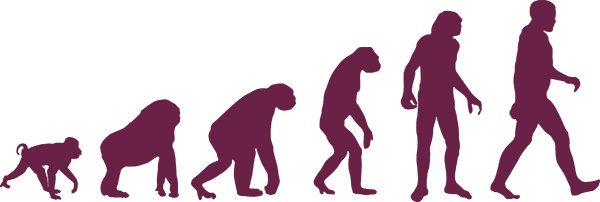 ¿Por qué no vemos a monos evolucionando en seres humanos? 