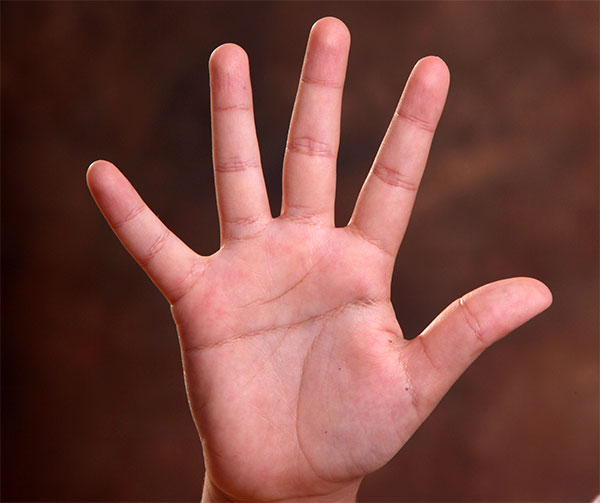 El infinito en la palma de la mano 