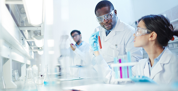 ¿Qué es una columna de cromatografía? 