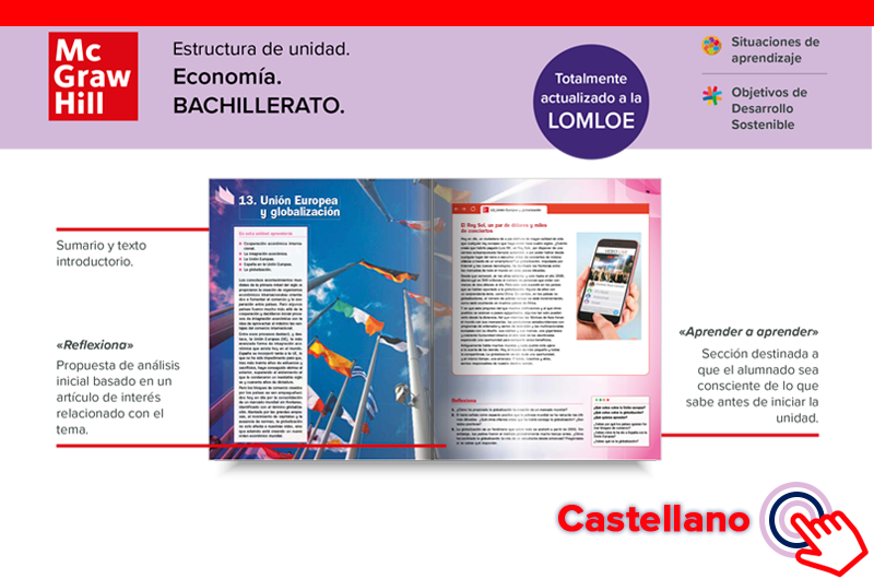 Estructura de unidad - Econom&iacute;a 